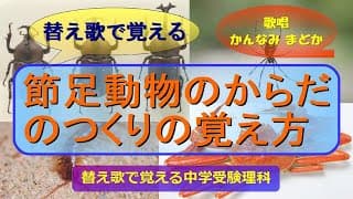 【替え歌で覚える】節足動物のからだのつくりの覚え方 （歌唱　かんなみまどか）