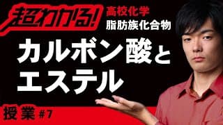 カルボン酸とエステル【高校化学｜有機化学】脂肪族化合物#7