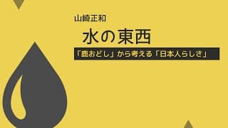 【国語解説】山崎正和『水の東西』（現代の国語）