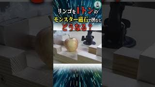 リンゴを1トンのモンスター磁石で挟むとどうなる？＃科学＃ゆっくり解説＃雑学