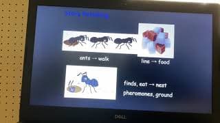 World Trek EC1 Lesson 4 Part 2 Story Retelling