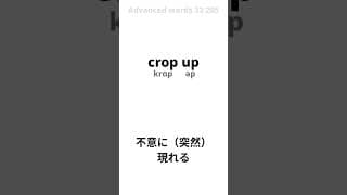 204_Advanced words 33 205