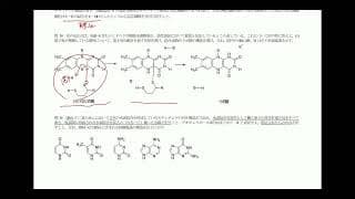 2023生物有機定期試験記述概説