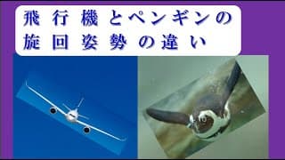 「飛行機とペンギンの旋回姿勢の違い」大人向け物理講座 第１２回