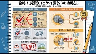 【要点講義】The Explainer  炭素とケイ素 【無機化学⑤】