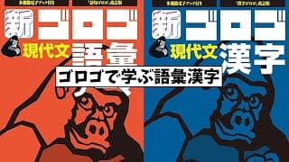 古文単語だけじゃない！ゴロゴで学ぼう！現代文語彙漢字【大学受験】【Voicevox】