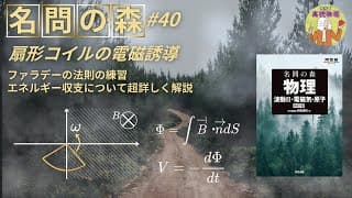 【名問の森 電磁気学40(3)(4)】超丁寧な解説でファラデイの法則とエネルギー収支の考え方を身につけよう！東工大物理出身の私が詳しく説明します #大学受験 #微積物理 #高校物理