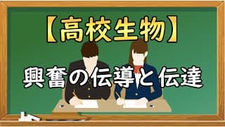 高校生物【興奮の伝導と伝達】オンラインで高校授業