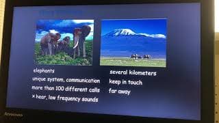 World Trek EC1 Lesson 4 Part 3 Story Retelling