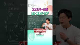 名前のインパクト強いよね #ミトコンドリア#えぐい