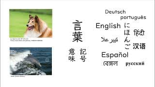 言葉ってなに？
