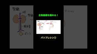 71バソプレシン１ #生物基礎