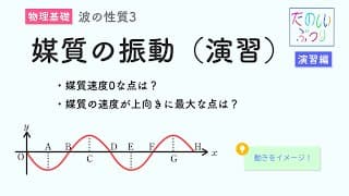 【媒質の振動】高校物理　波の性質③　演習