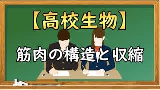 高校生物【筋肉の構造と収縮】オンラインで高校授業